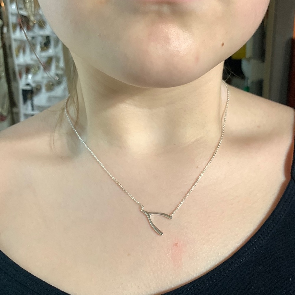 Sterling Wishbone Necklace